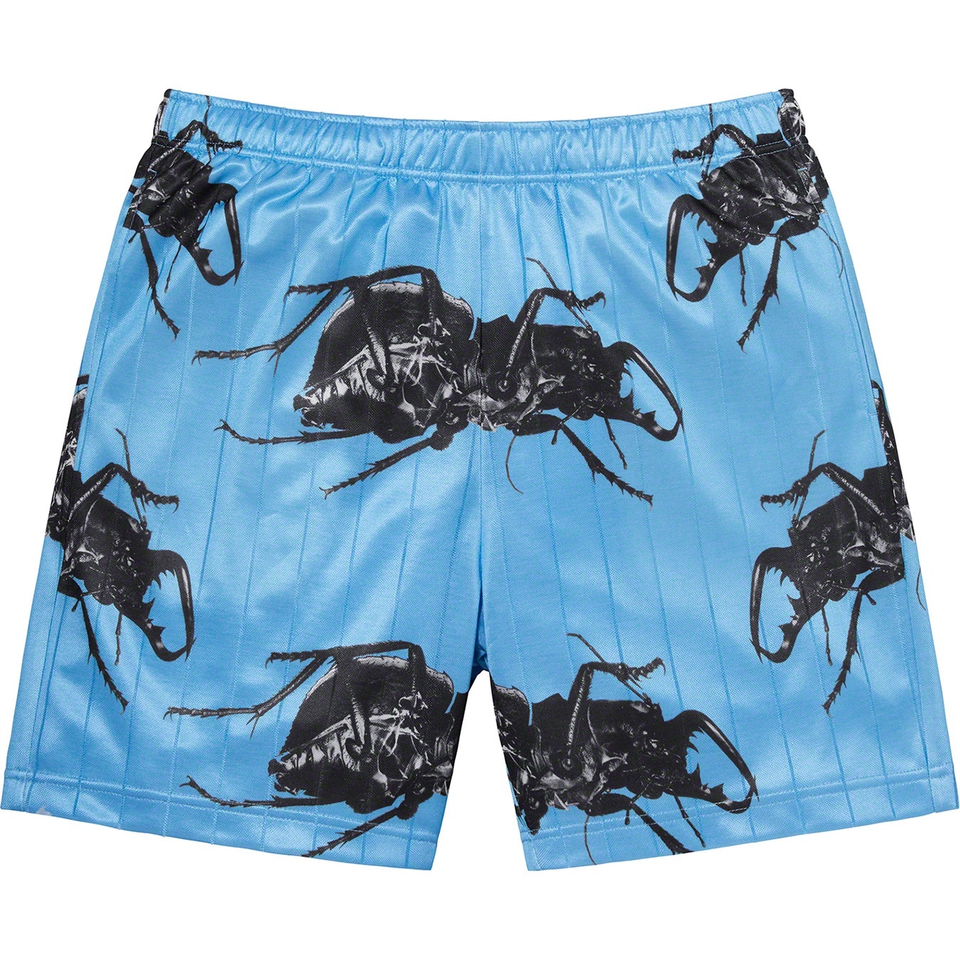 Beetle Short view 5